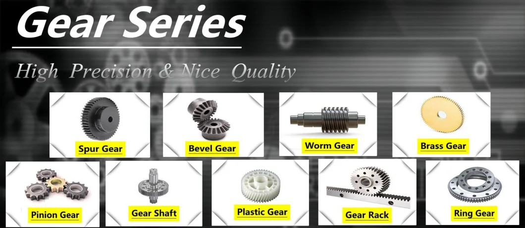 Custom High Quality Brass Worm Gear Stainless Steel Gears