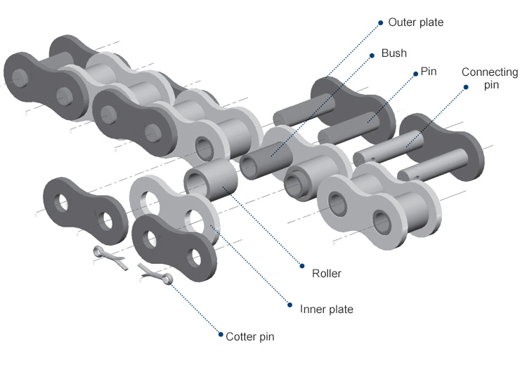OEM China Manufacturer Stainless Steel Short Pitch Precision Duplex Roller Chain (B series)