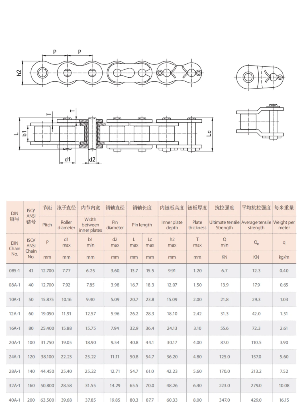 Short Pitch Simplex and Duplex Precision Roller Chain Transmission Chain