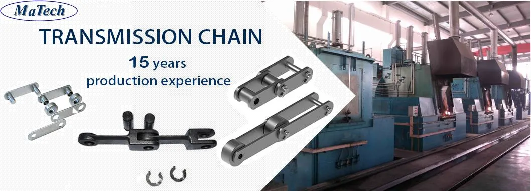 China Factory Custom Stainless Steel Transmission Scraper Conveyor Chain