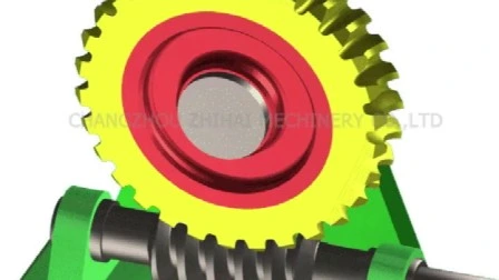Auto Parts Transmission Gear of Worm