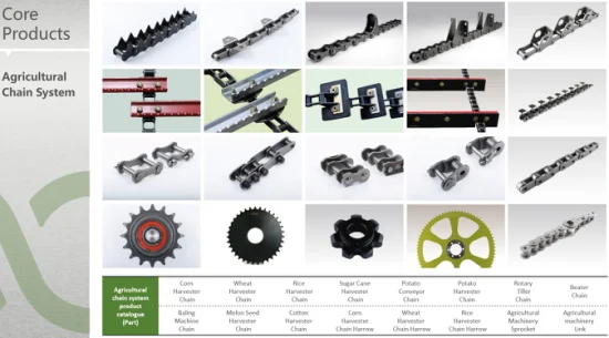 Stainless Steel Chains Maintenance Free Agricultural Machnery High Quality Durable Transmission Roller Chain