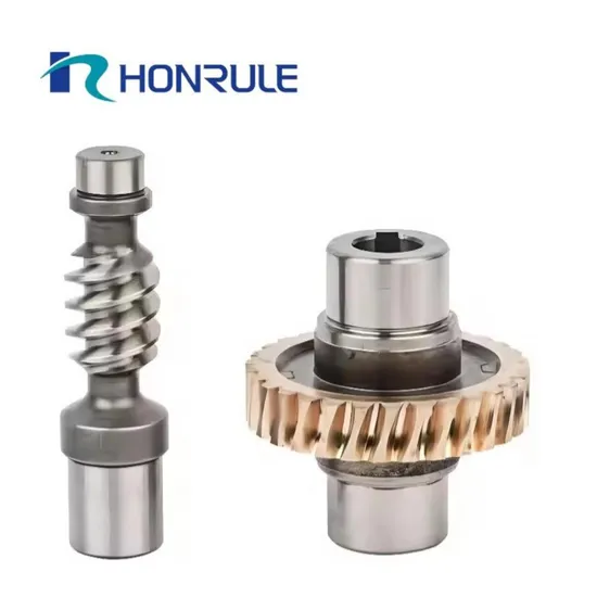 Factory Manufacture High Precision Custom 304 316 CNC Machining Parts Worm Gear