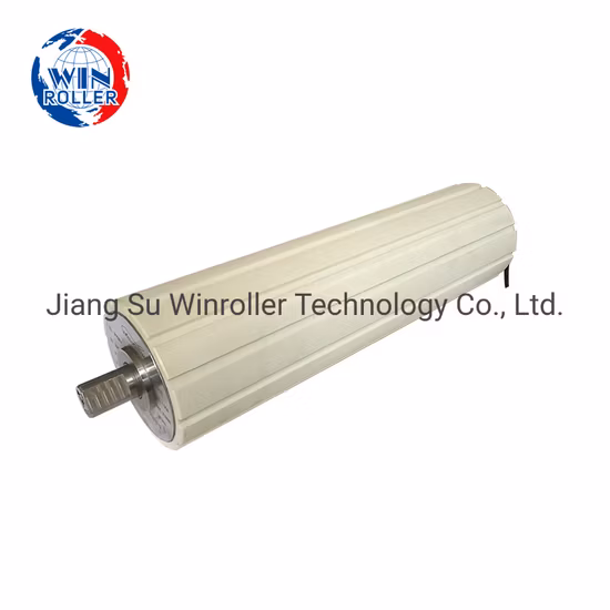 Winroller Build-in AC Motor Dm113/138/165/216 Conveyor Pulley for Baggage Belt Conveyor