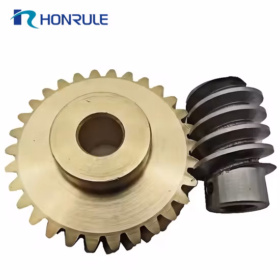 Factory Manufacture High Precision Custom 304 316 CNC Machining Parts Worm Gear